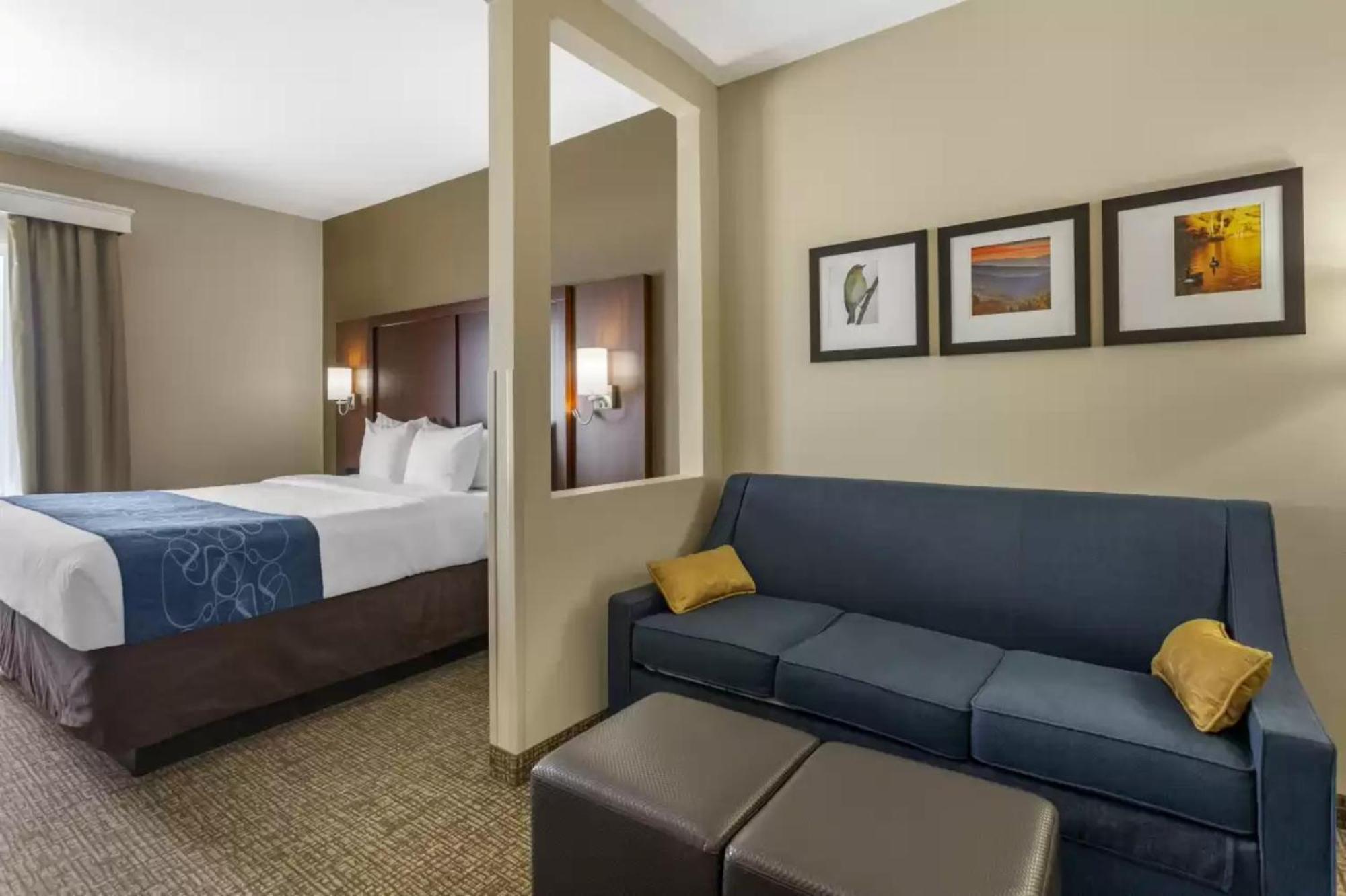 Comfort Suites At Rivergate Mall Goodlettsville Zewnętrze zdjęcie